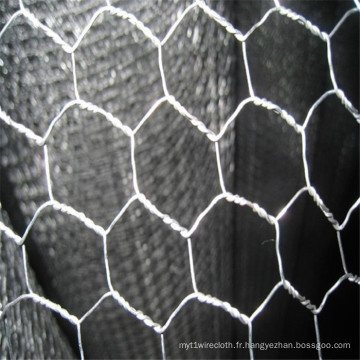 Cage de lapin en acier torsadée galvanisée à chaud